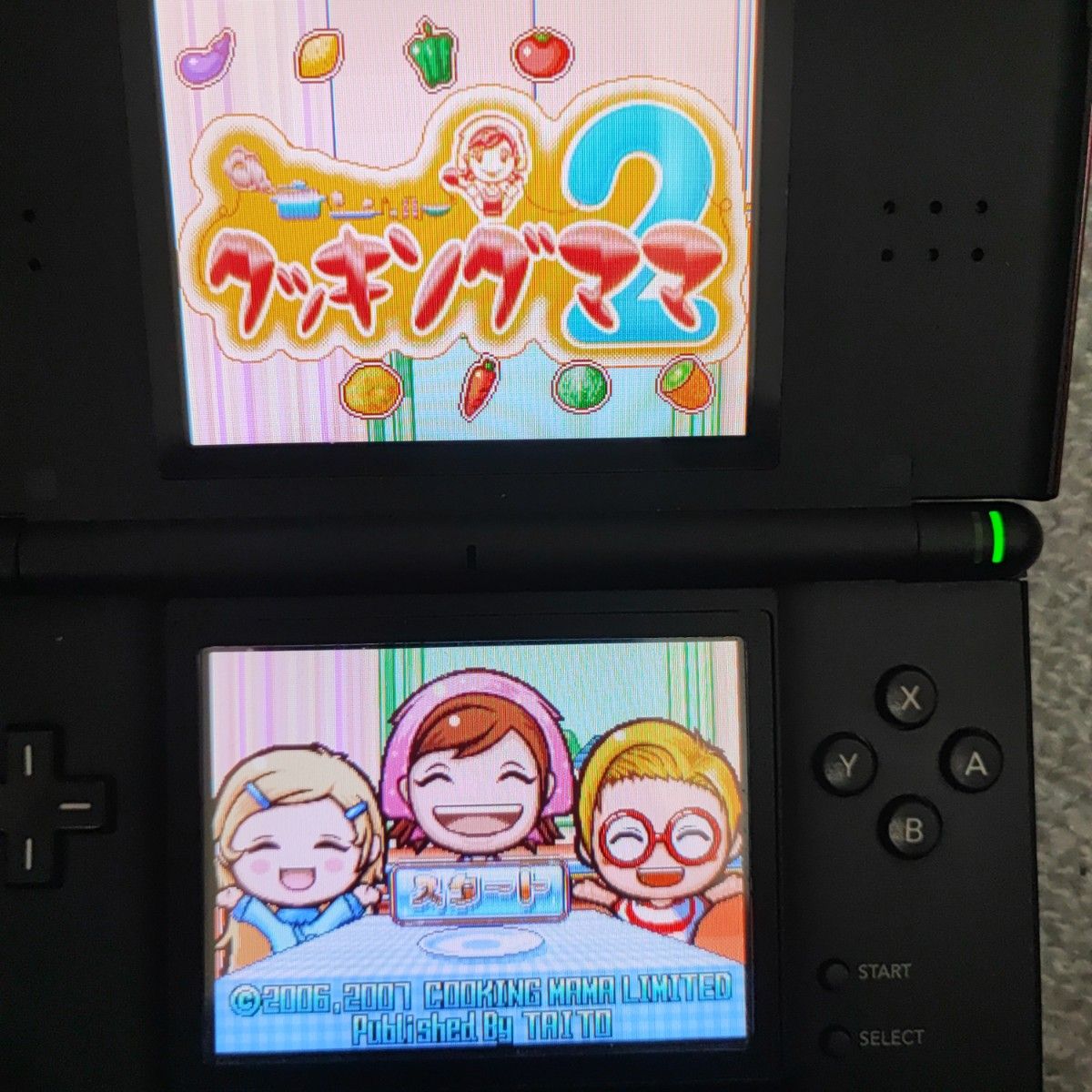 ニンテンドーDSソフト 20本セット まとめ売り DSお料理ナビ どうぶつの