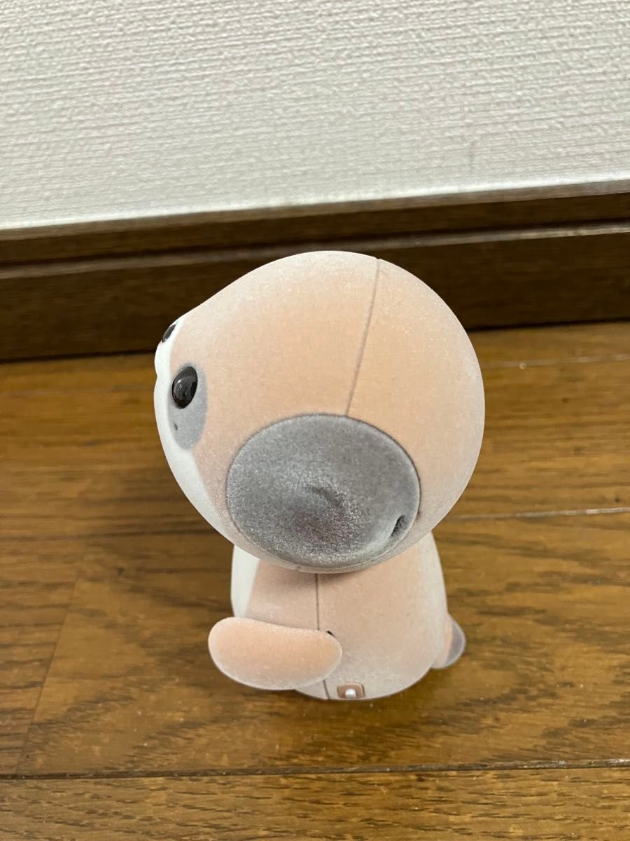 SHARP ポケとも SR-C01M コンパニオンロボット｜Yahoo!フリマ（旧