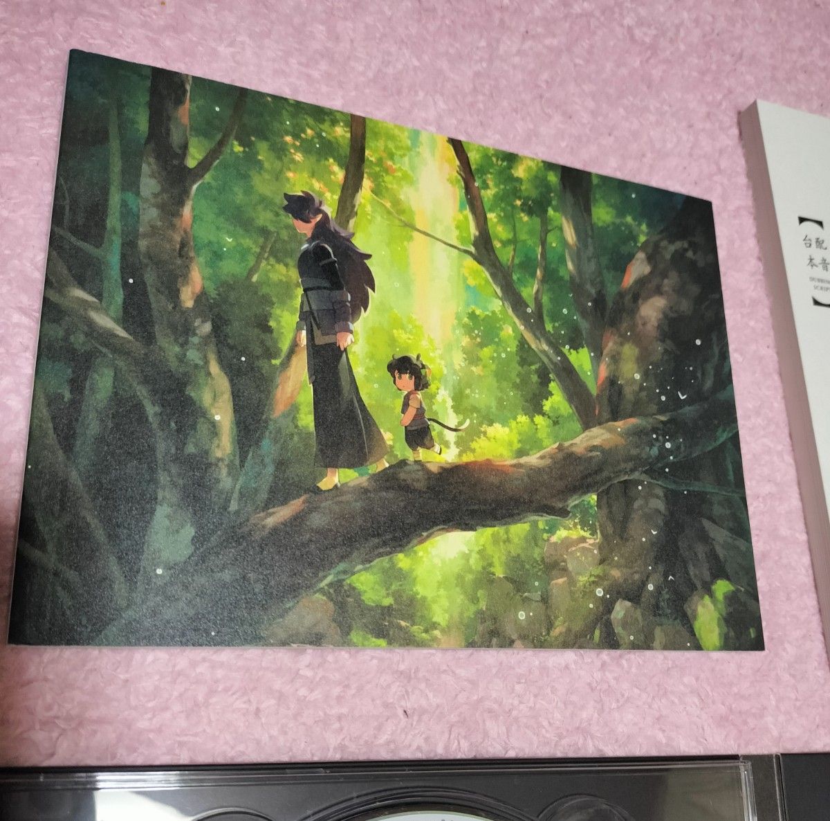 羅小黒戦記 ぼくが選ぶ未来 DVD CD 完全生産限定版 ロシャオヘイセンキ