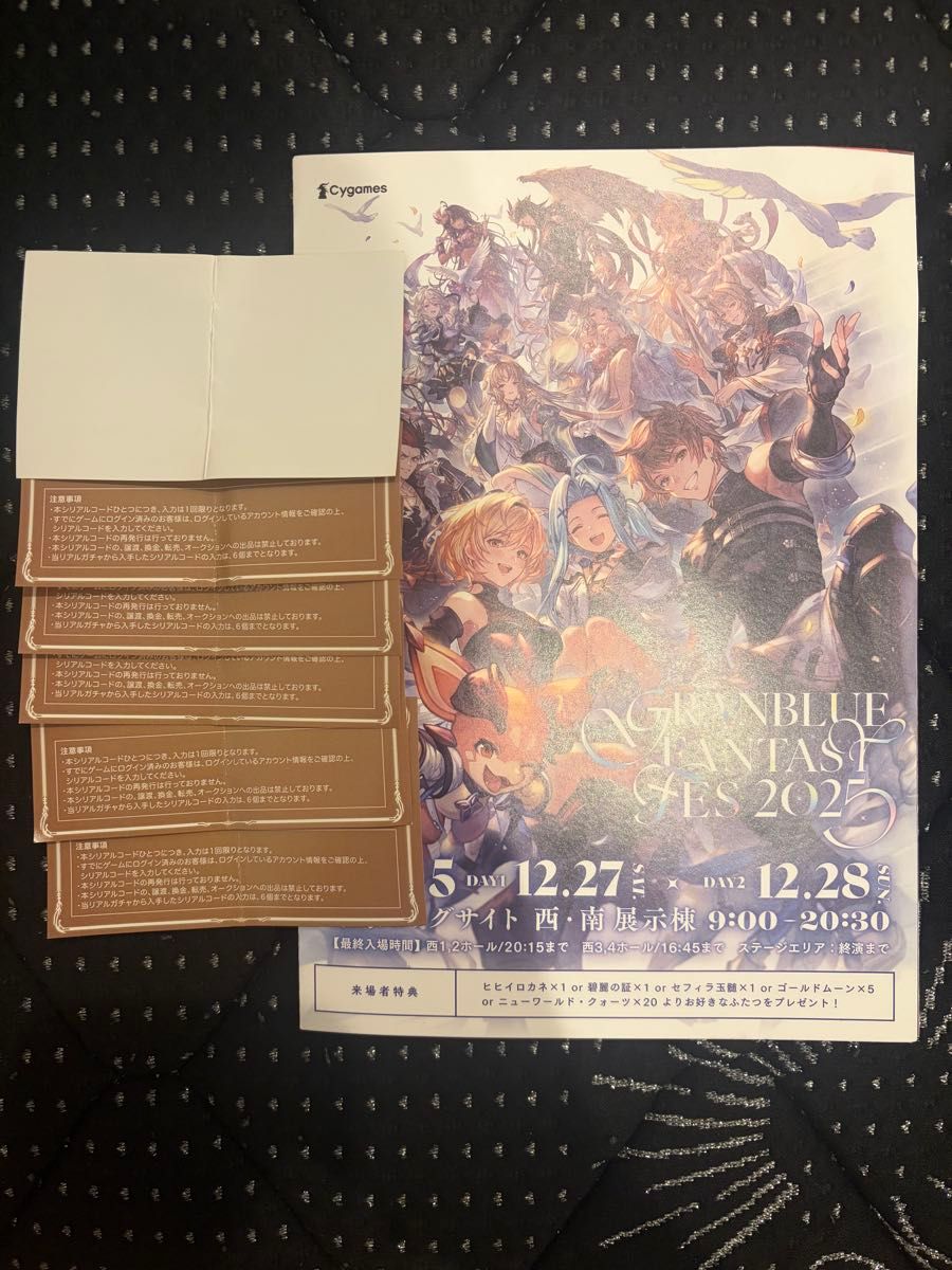 グラブルフェス2025 グランブルーファンタジー リーフレット リアル