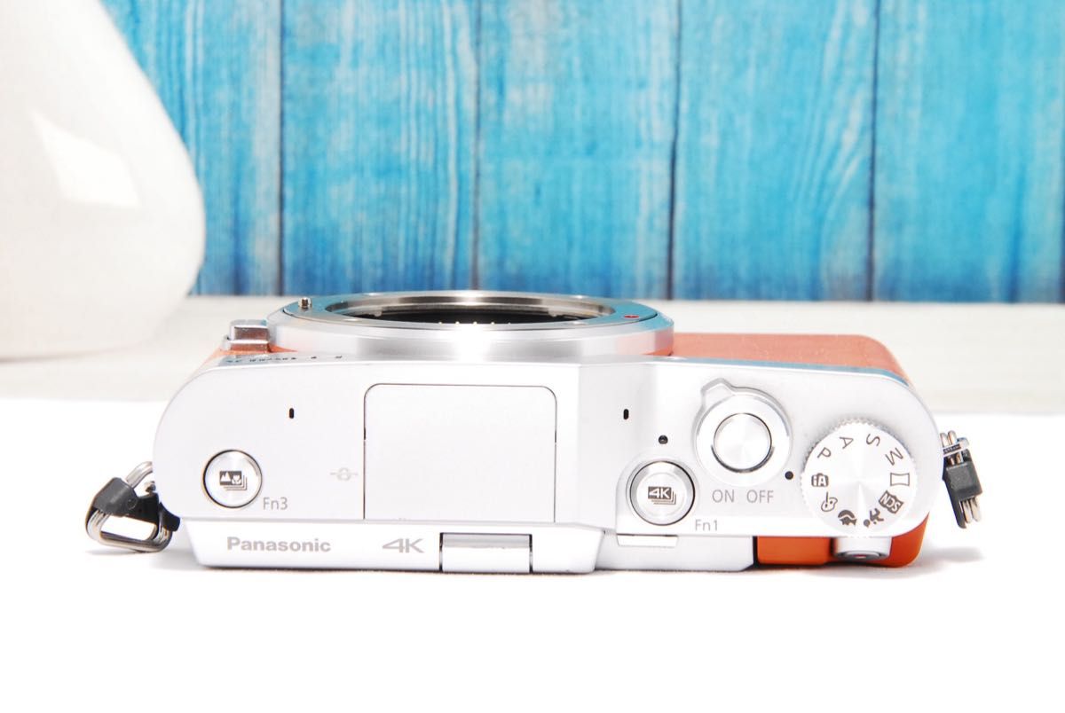 ショット数611回】LUMIX GF9 SNS Wi-Fi チルト ミラーレス ショット数