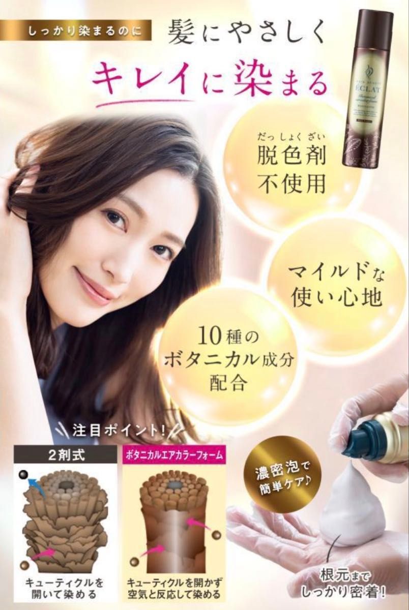 ヘアボーテエクラ ボタニカルエアカラーフォームEX ナチュラルブラック