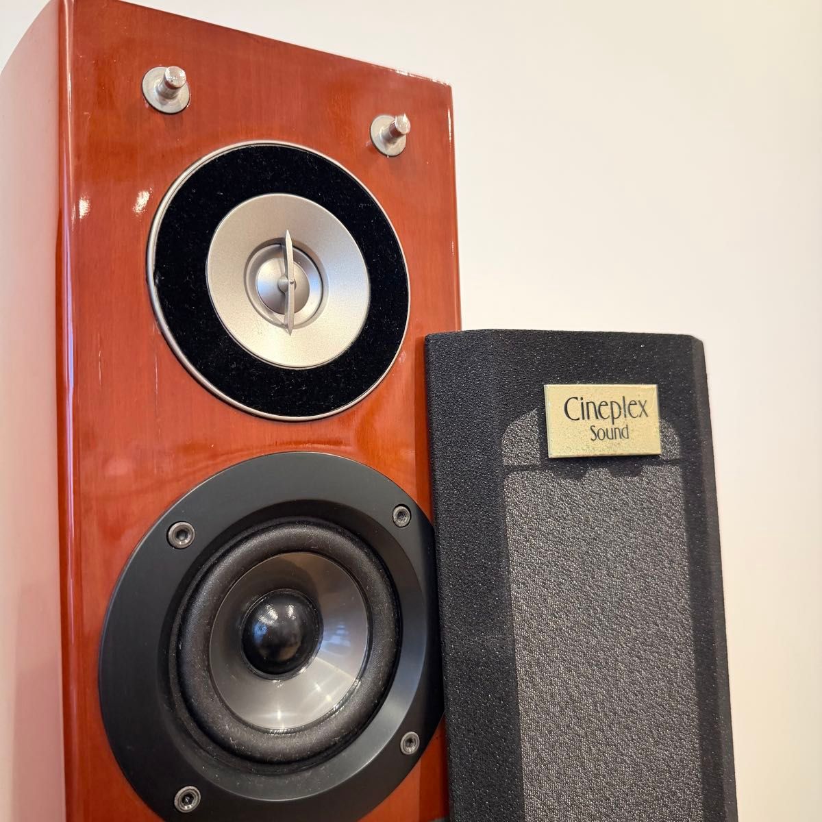 名機 廃盤 Panasonic SB-PF800 スピーカーCineplex sound ペア トール