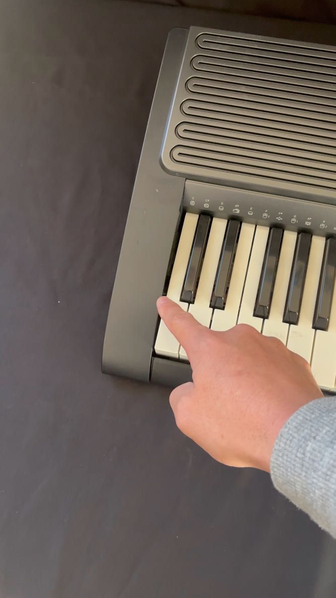 CASIO(カシオ) 76鍵盤 電子キーボード WK-245 [ベーシック] 電源