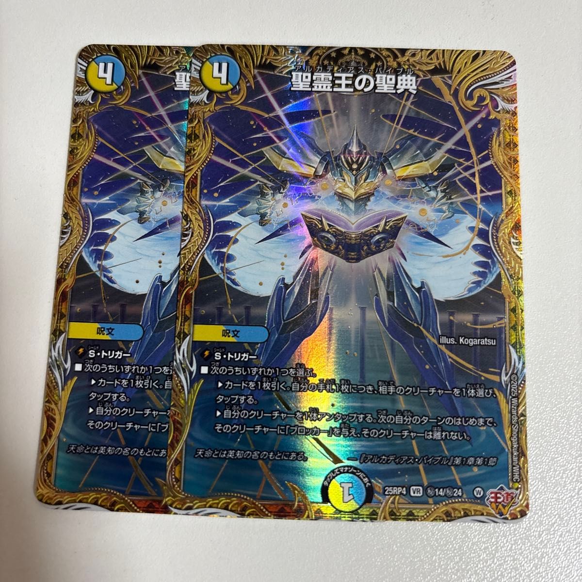 聖霊王の聖典 デュエルマスターズ シークレット シク アルカディアス