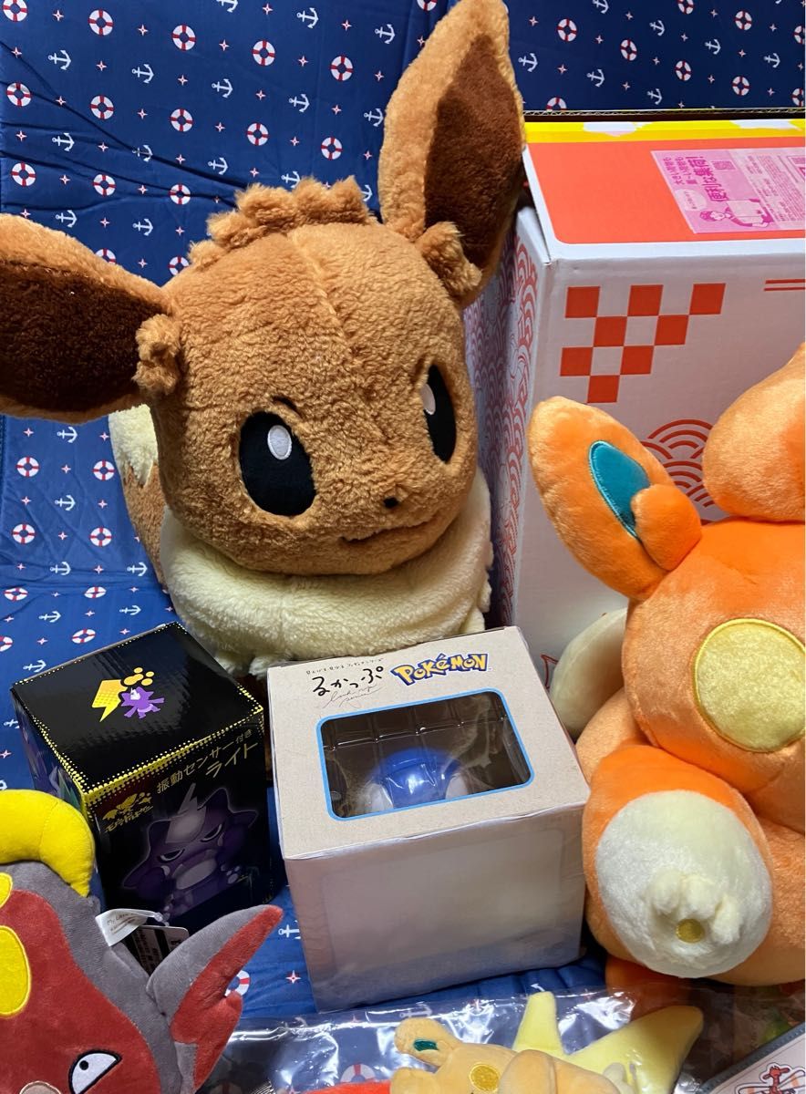 ポケモンセンター ピカピカボックス 2026 コイキング メス エレズン