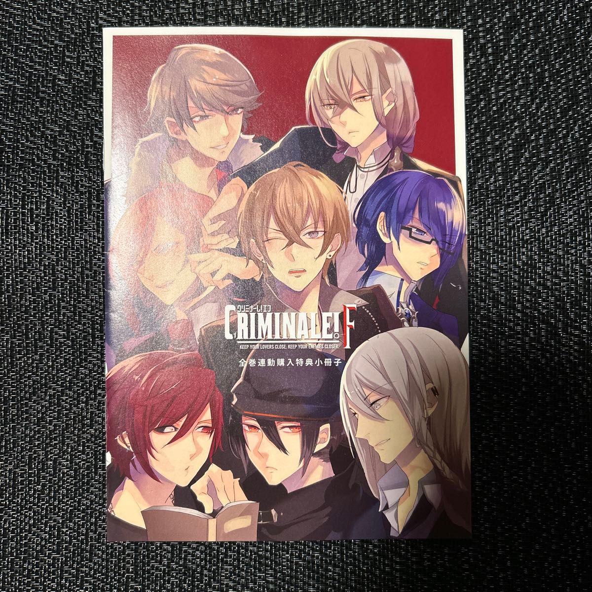 CRIMINALE! X 全巻購入特典 小冊子 CRIMINALE! X 全巻購入特典 小冊子
