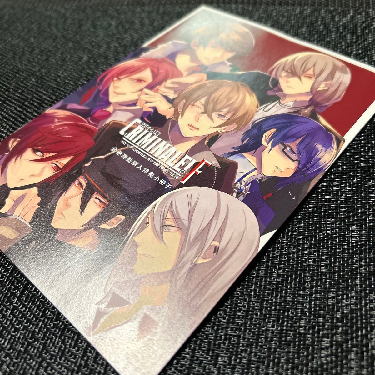 CRIMINALE! X 全巻購入特典 小冊子 CRIMINALE! X 全巻購入特典 小冊子