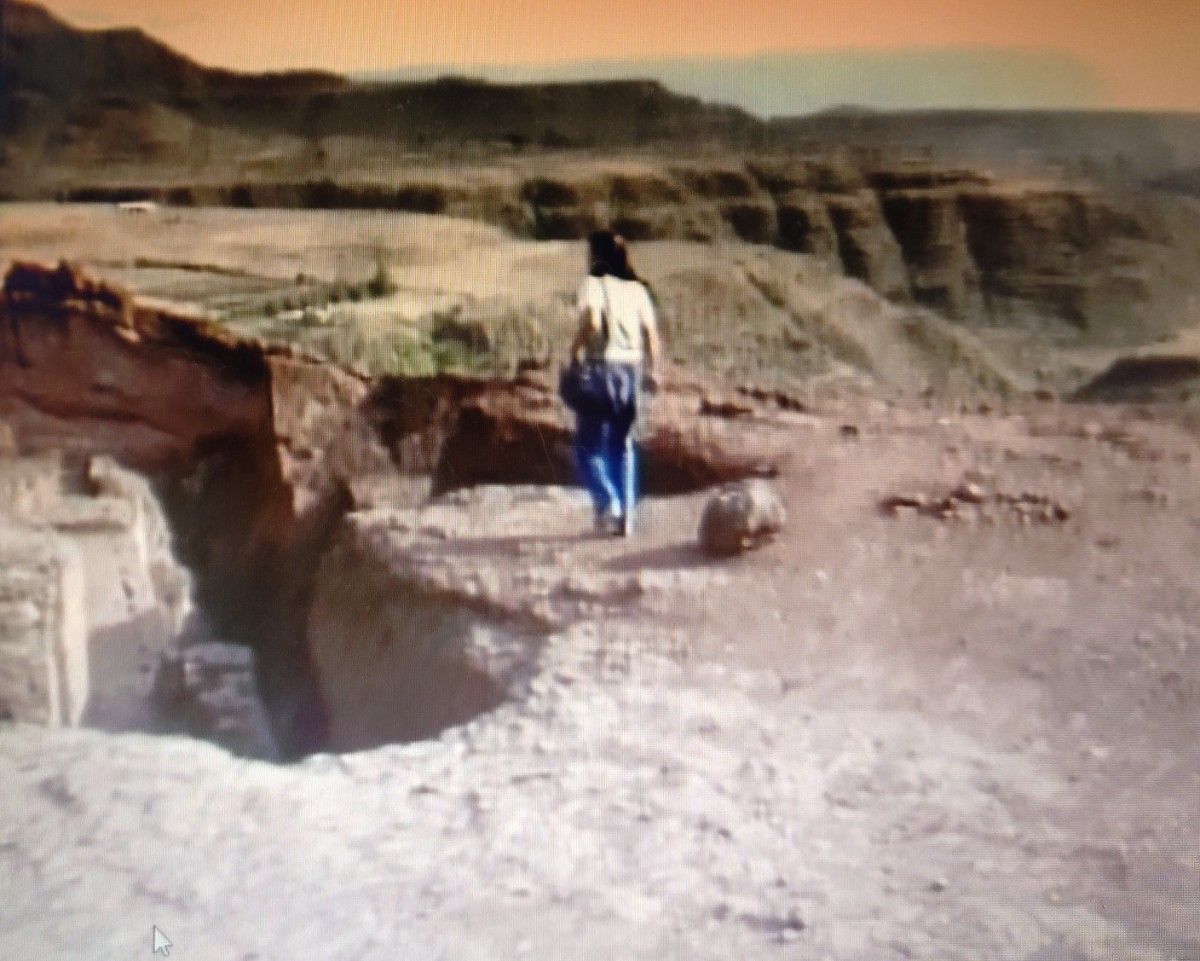 なるほど ザ・ワールド 〜世界のおもしろレポート集〜｜Yahoo!フリマ