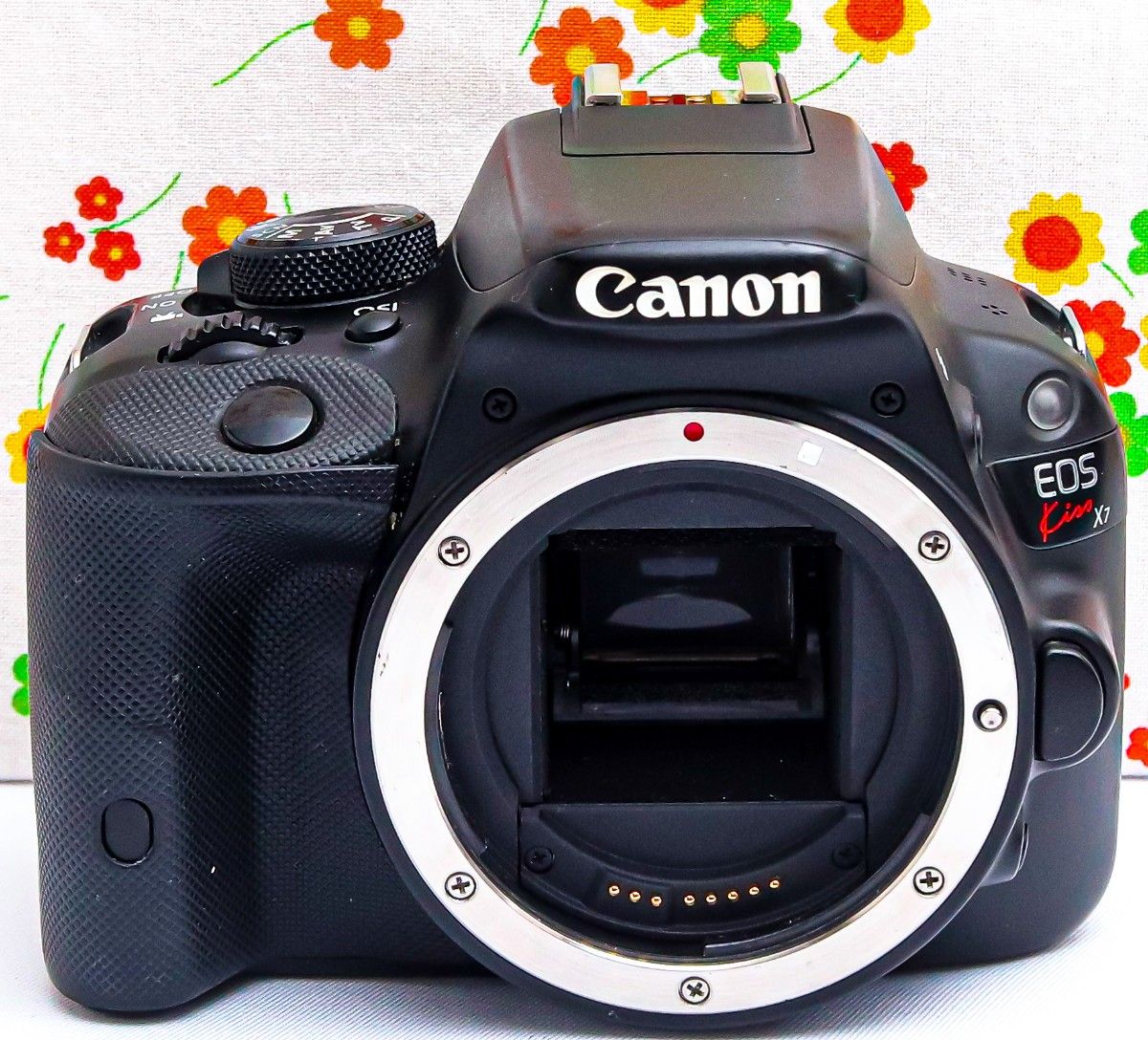 キャノン Canon EOS Kiss X7 スマホ転送 超小型・軽量 美品 Canon