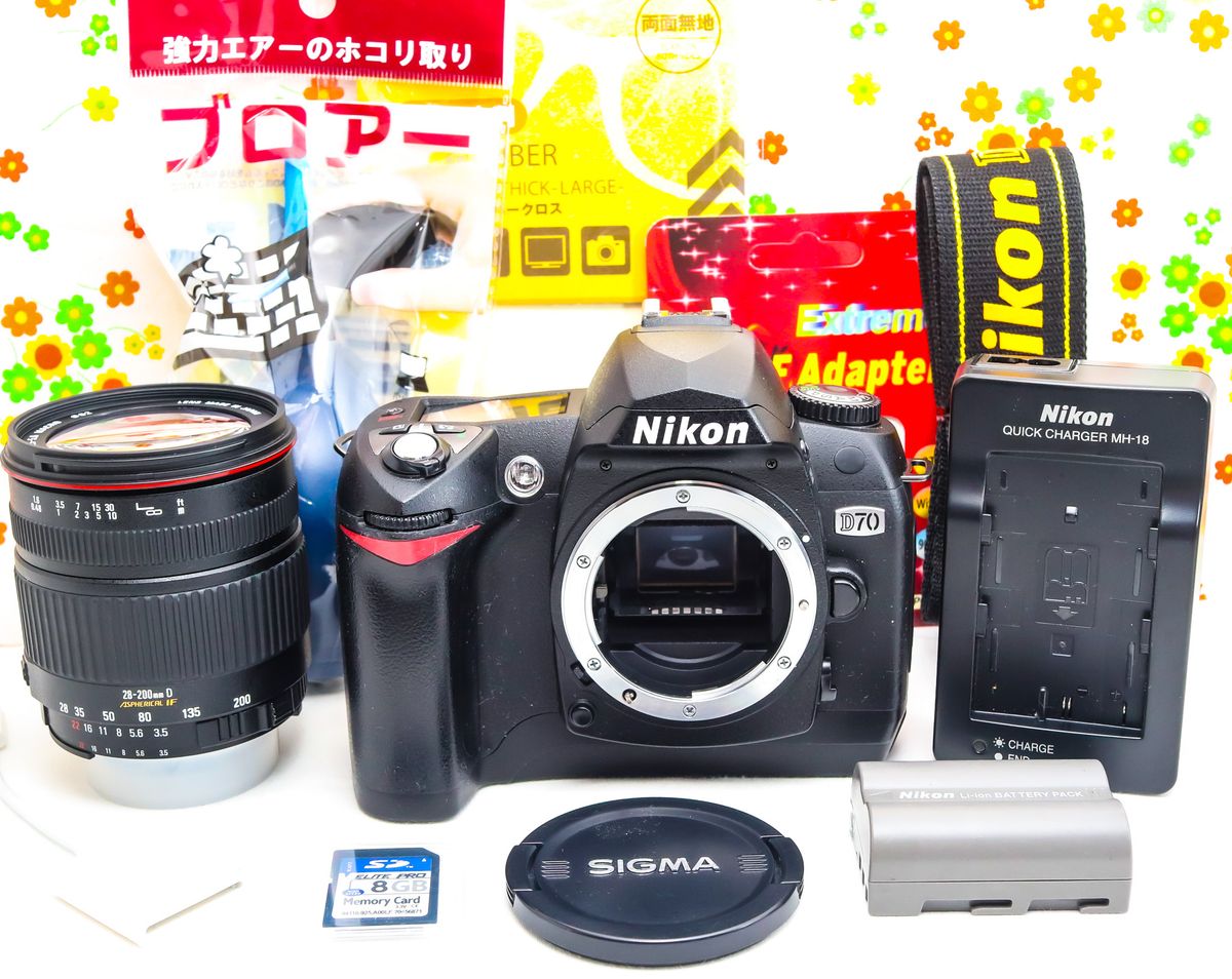 ニコン Nikon D70 スマホに転送 広角から望遠まで撮影 初心者おすすめ