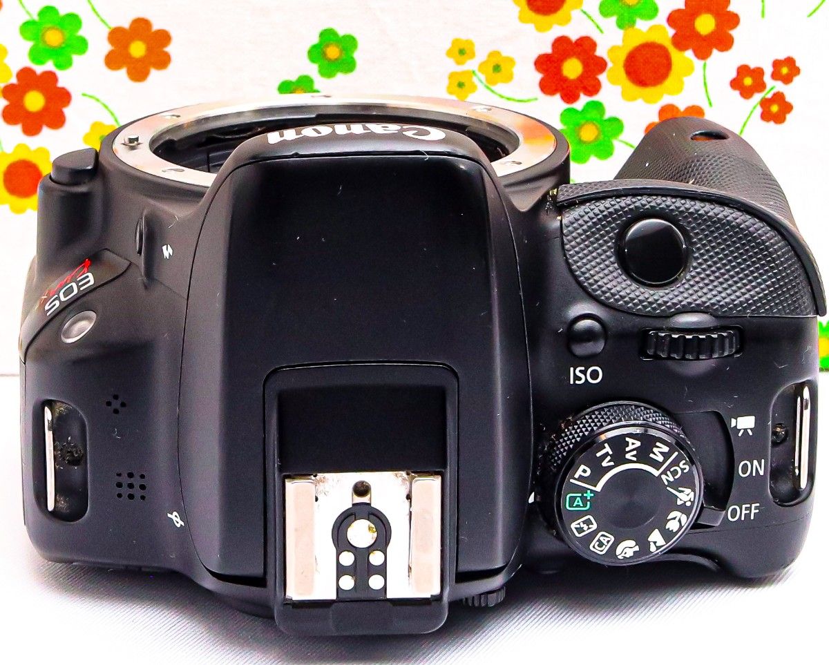 キャノン Canon EOS Kiss X7 スマホ転送 超小型・軽量 美品 Canon