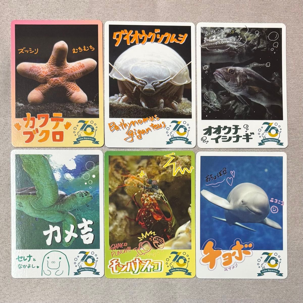 鳥羽水族館 コレクションカード とばすい コレカ トレカ スナメリ カメ