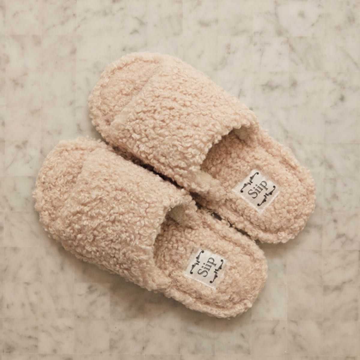 Siip 「ガイア」完全生産限定盤【PlayPASS PAK（ダウンロードカード