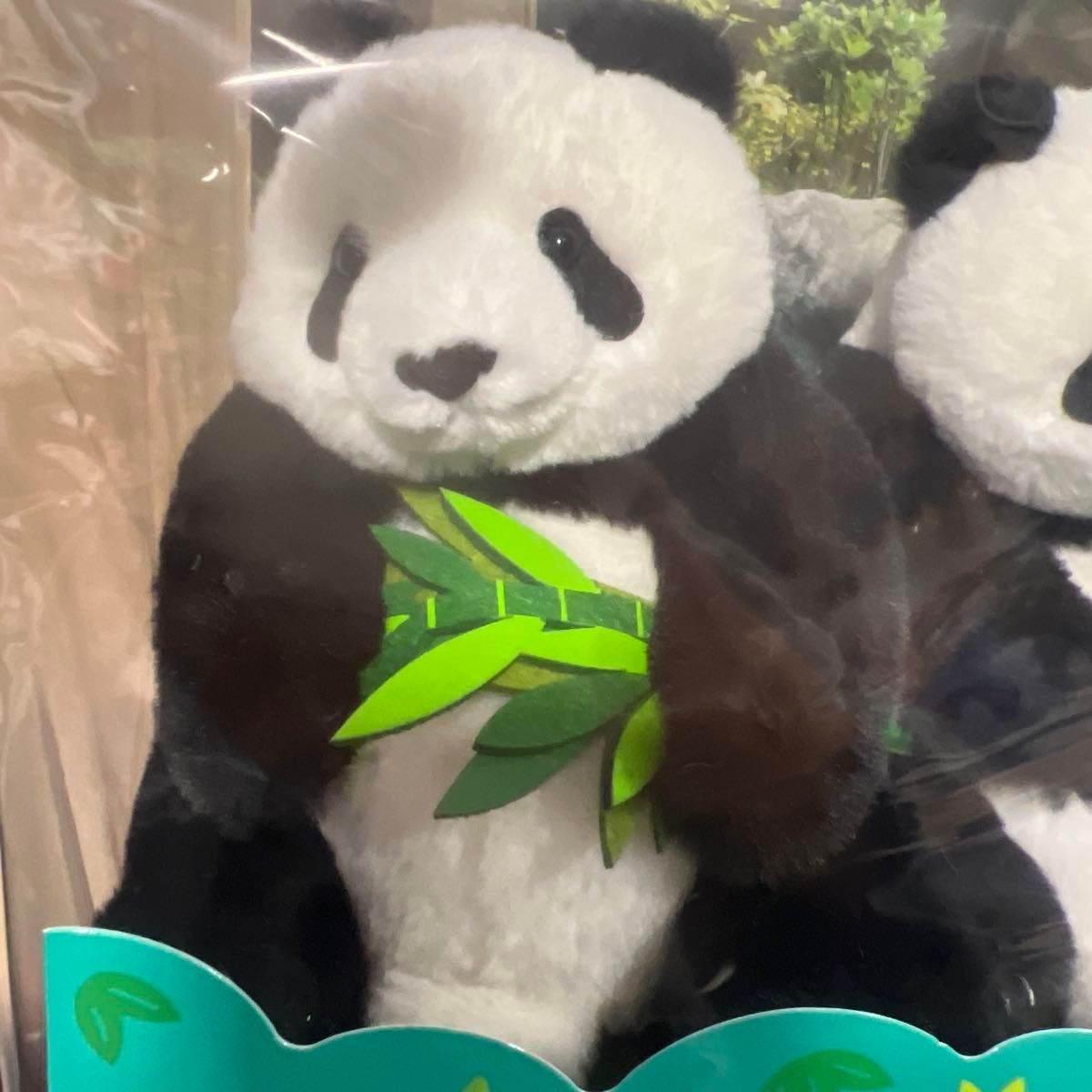 上野動物園 パンダぬいぐるみセット 暁暁 蕾蕾｜Yahoo!フリマ（旧