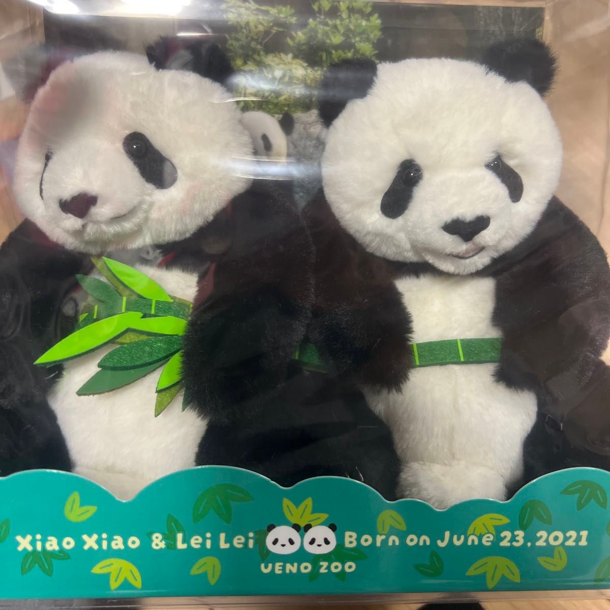 上野動物園 パンダぬいぐるみセット 暁暁 蕾蕾｜Yahoo!フリマ（旧