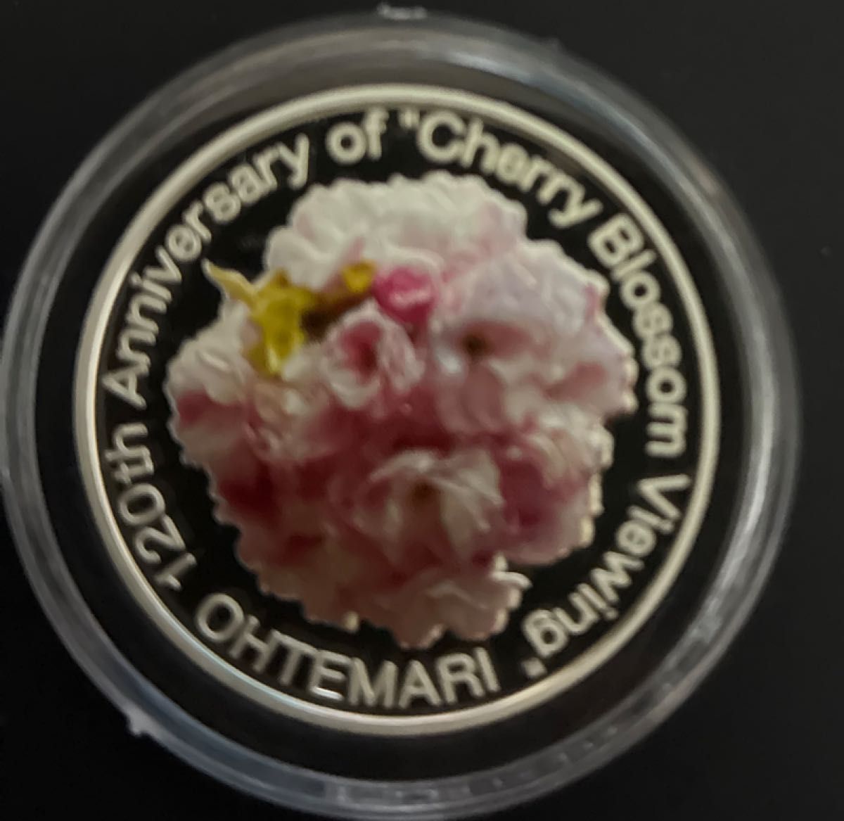 120周年限定】造幣局 桜の通り抜け カラー 銀メダル 20g 大手毬