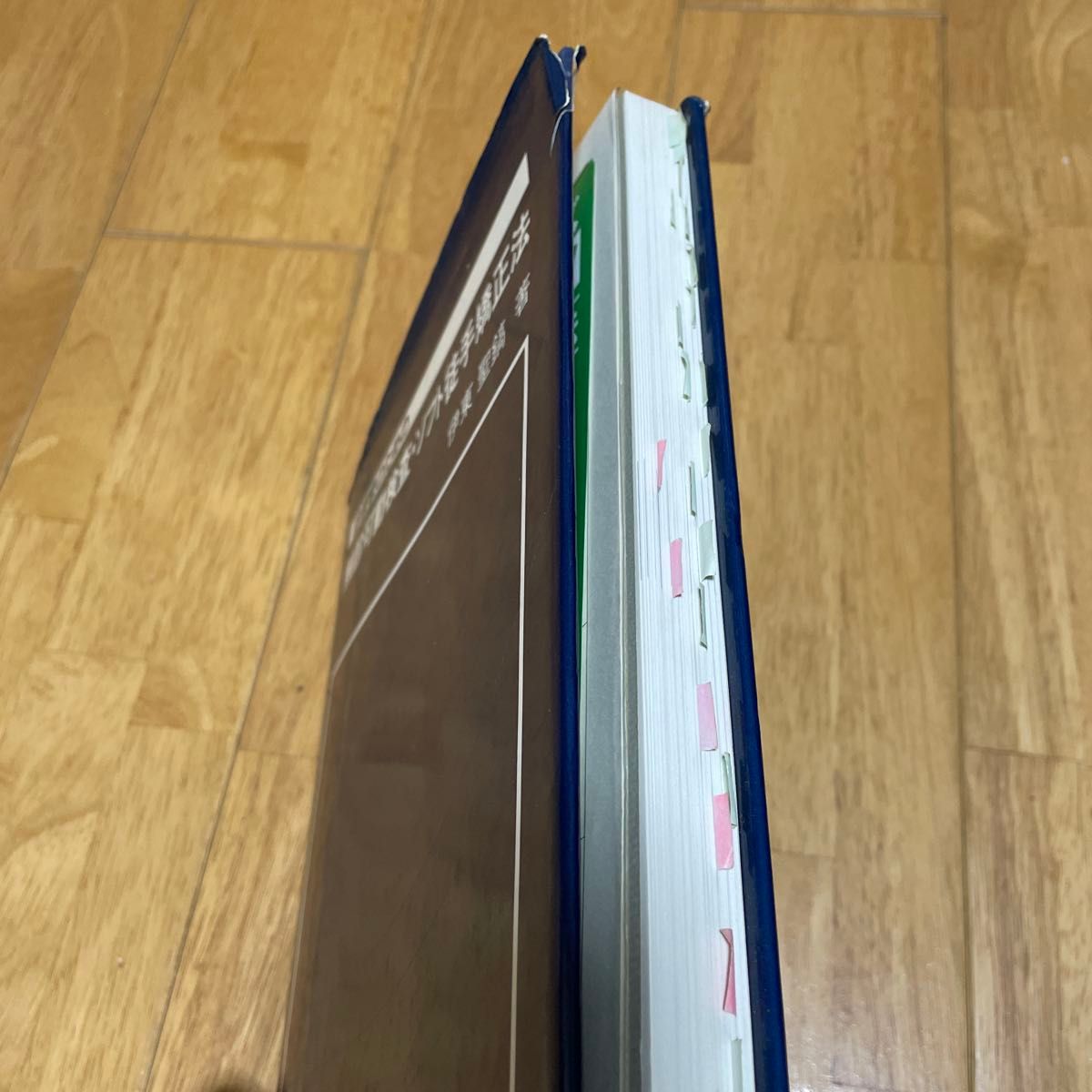 治療家のための 触診可動検査・ソフト徒手矯正法 伊東聖鎬著｜Yahoo