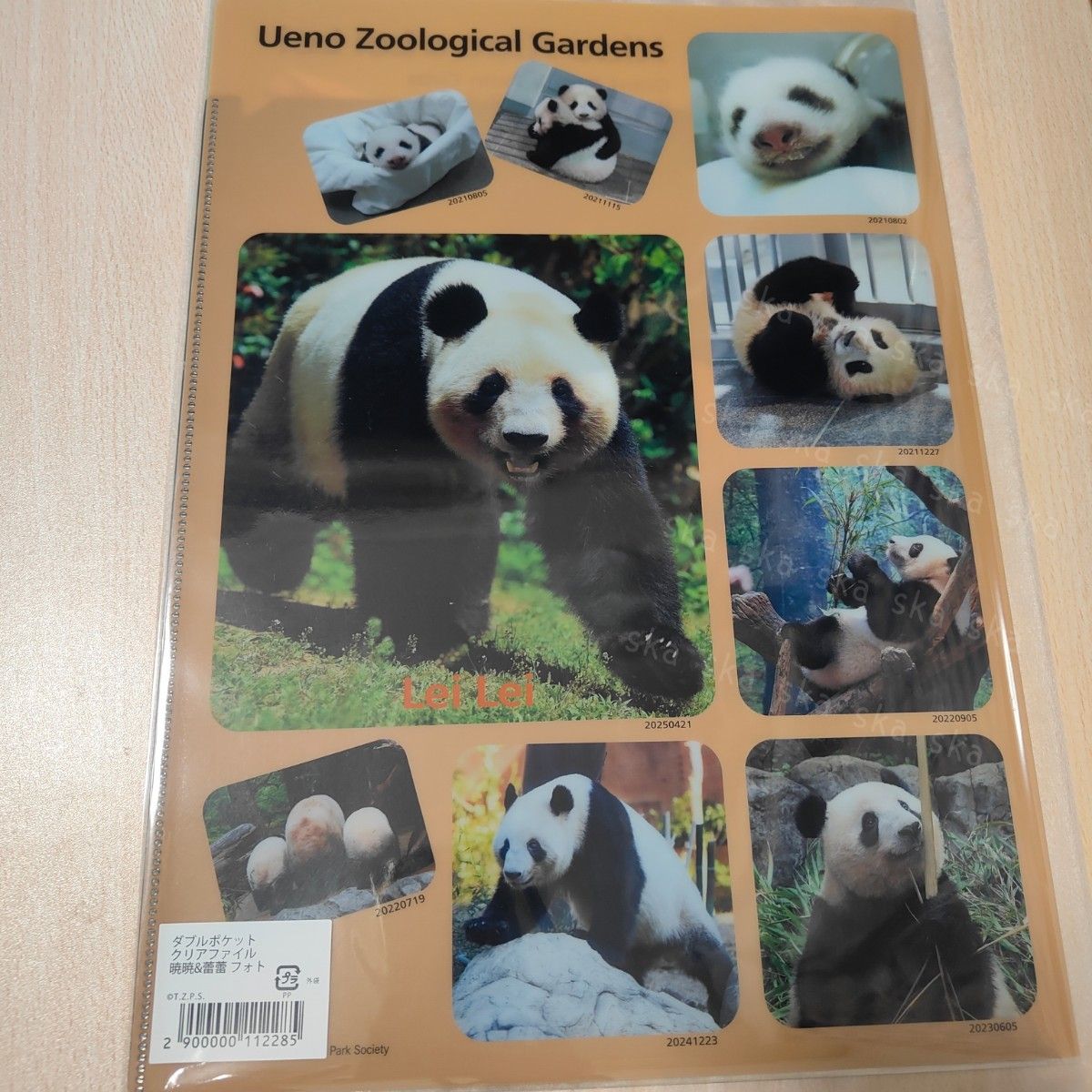 い*ご様 シャオシャオ＆レイレイ ぬいぐるみ クリアファイル 3点セット