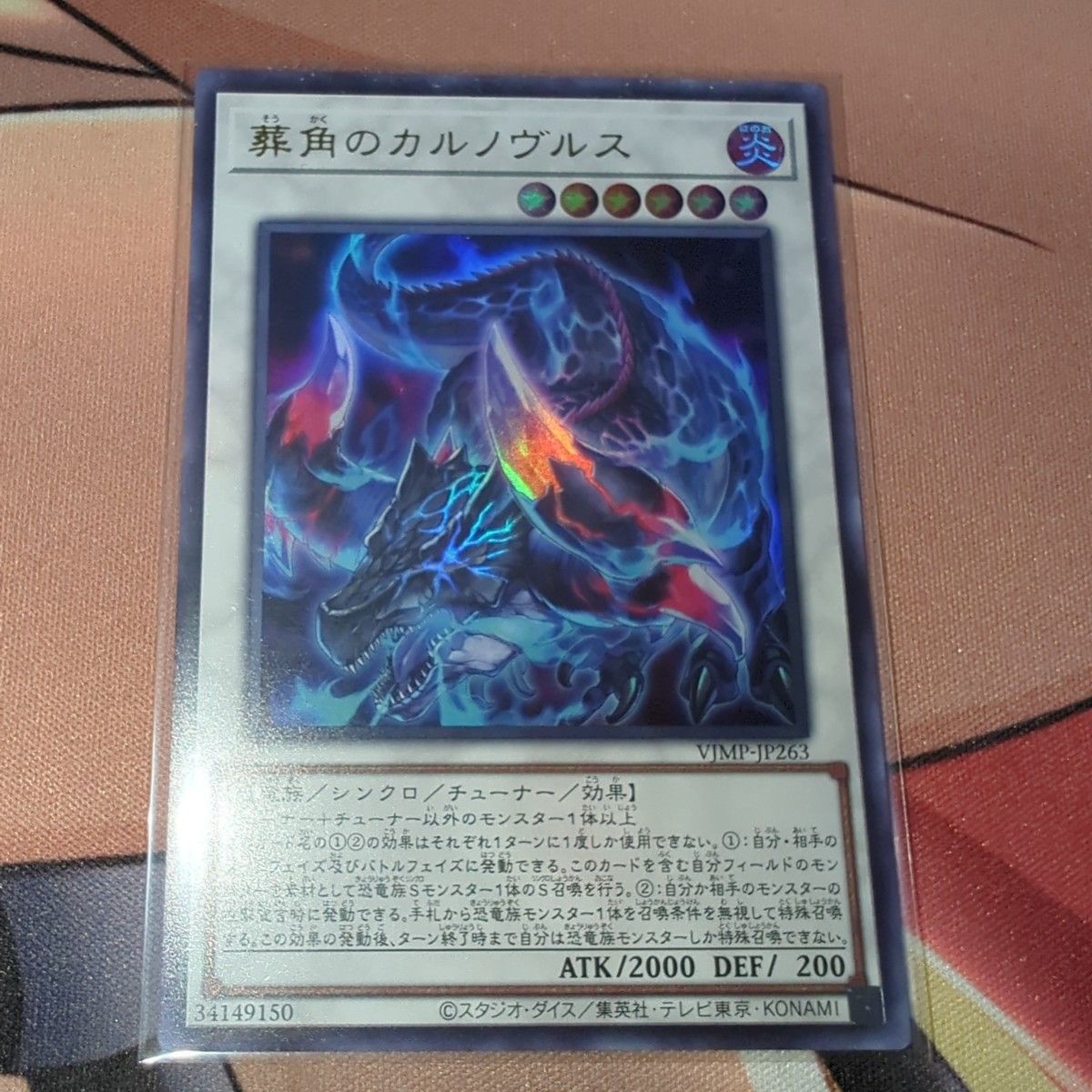 遊戯王 教導の死徒 100枚 Vジャンプ ドラグマ チャプレーン 教導の死徒