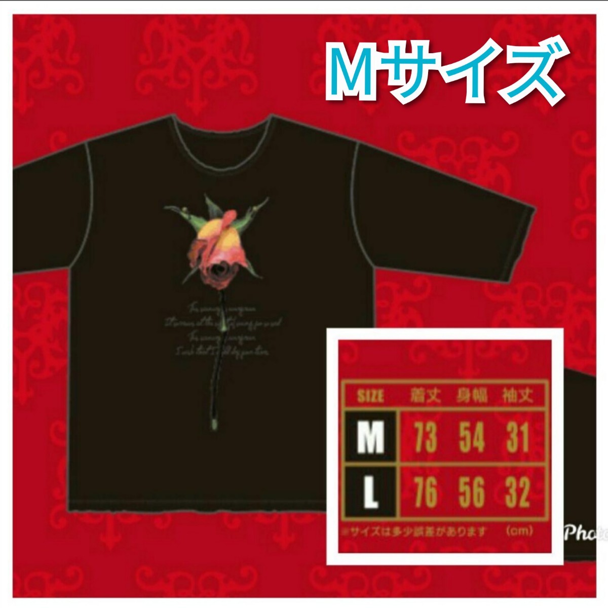 SALE 【希少 新品未開封 】HYDE 2017 黑ミサ TOKYO evergreenTシャツ