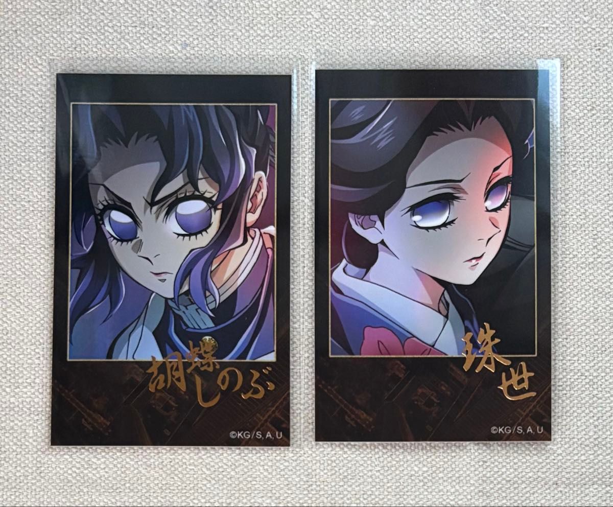 胡蝶しのぶ 珠世 鬼滅の刃 無限城編第一章 ティザービジュアル