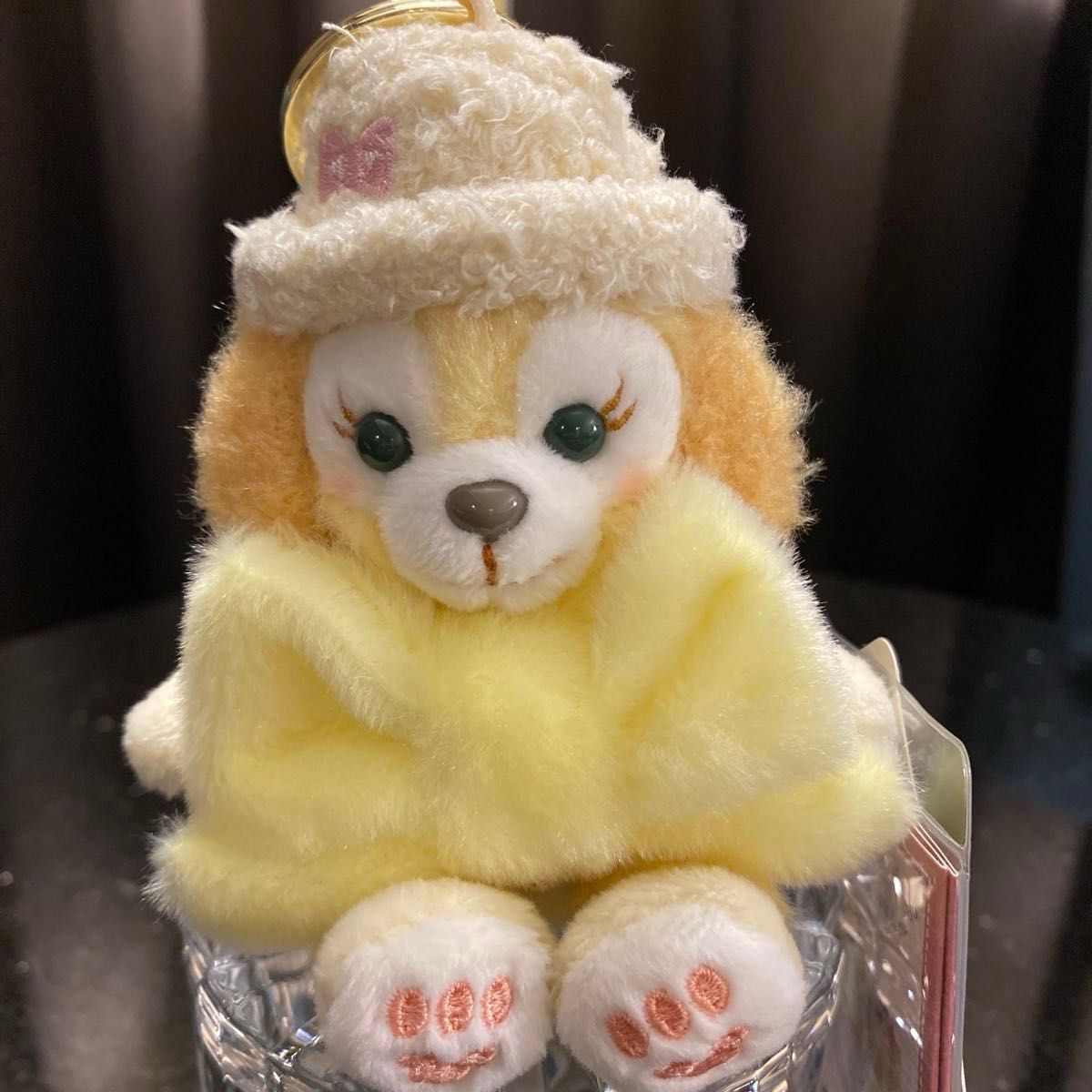 正規品未使用】香港ディズニー ダッフィーフレンズ クッキーアン 冬 お