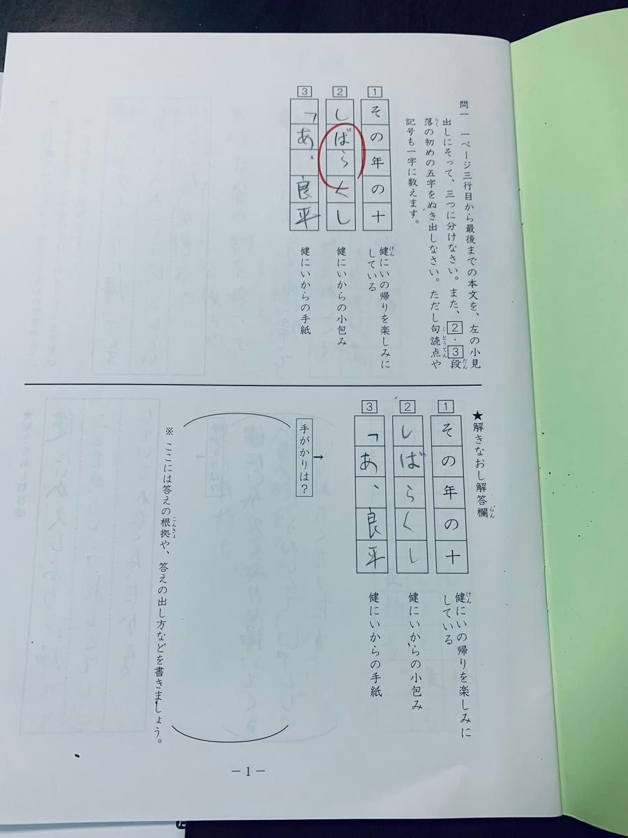 SAPIX 小学5年 国語 冬期講習 Winter SapiX F52-01～04 計4セット