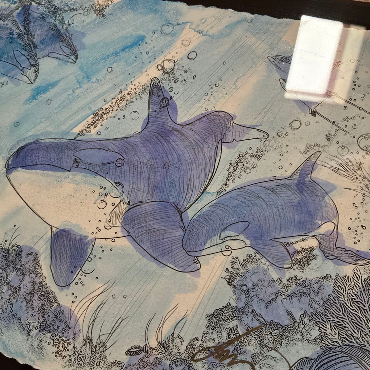 ラッセン直筆スケッチ シャチ｜Yahoo!フリマ（旧PayPayフリマ）