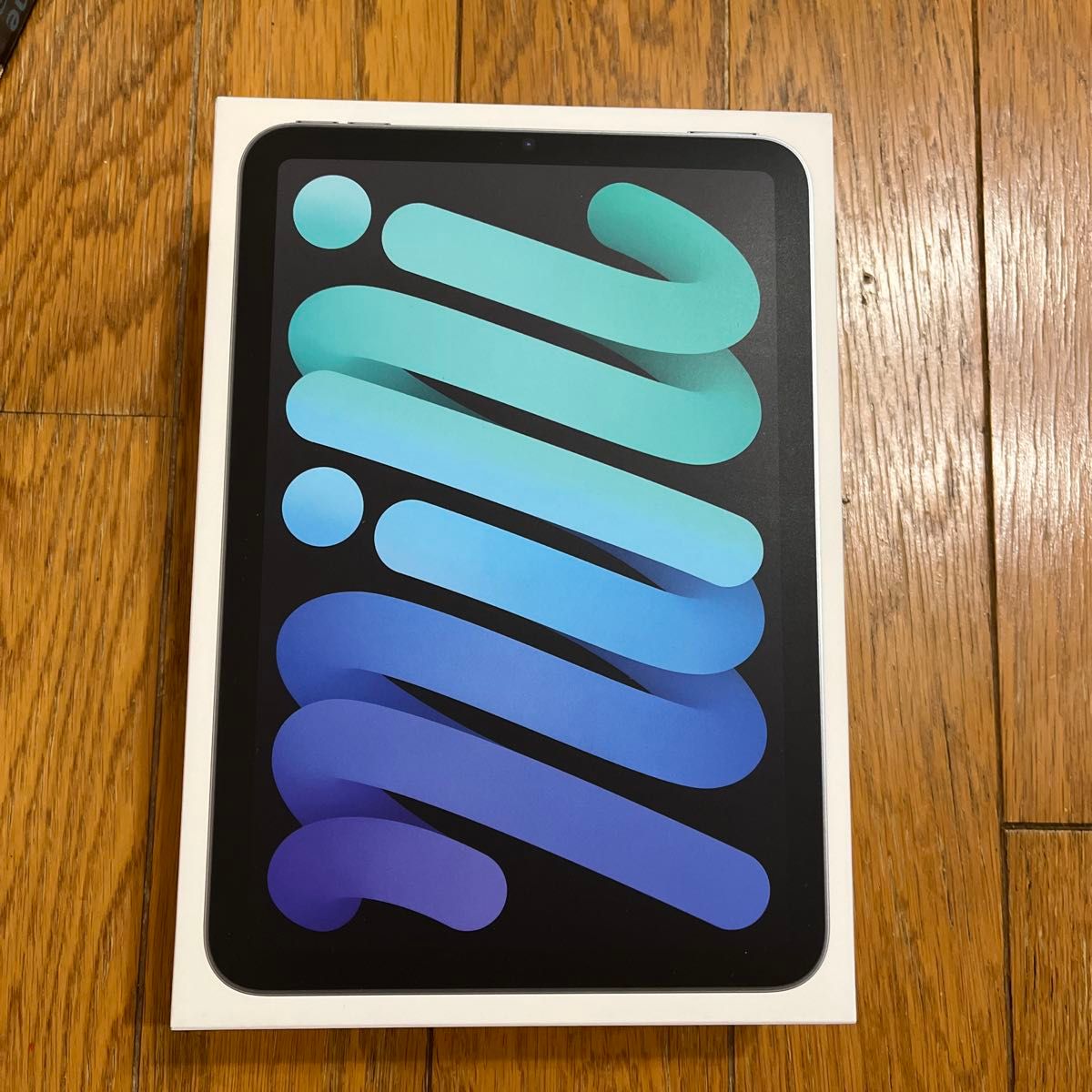 新品未使用未開封 iPad mini 第7世代 Wi-Fi 128GB スペースグレイ iPad