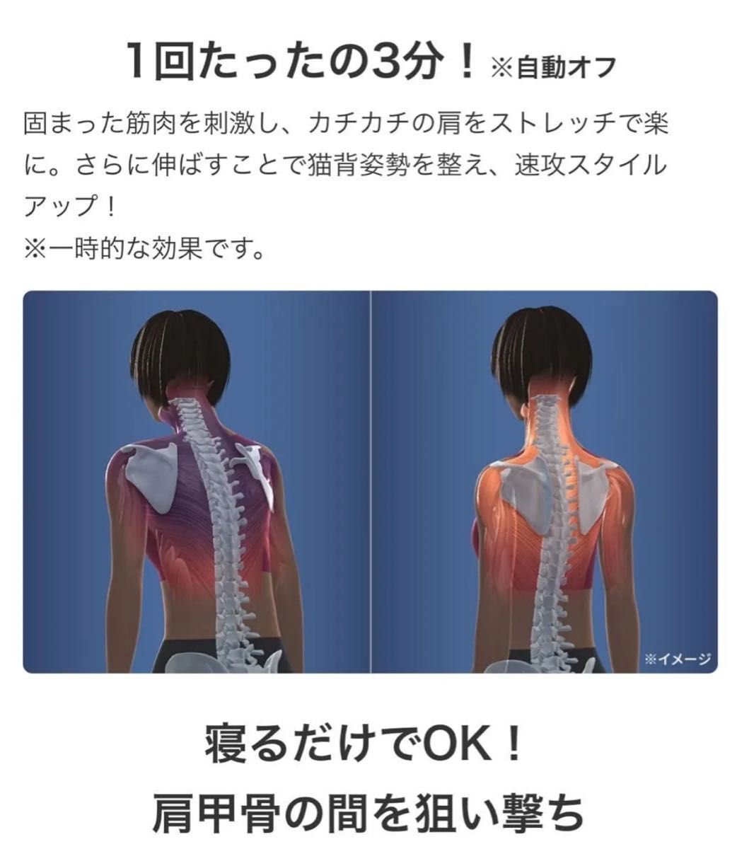 エイミー スリムビューティパッド 新品｜Yahoo!フリマ（旧PayPayフリマ）