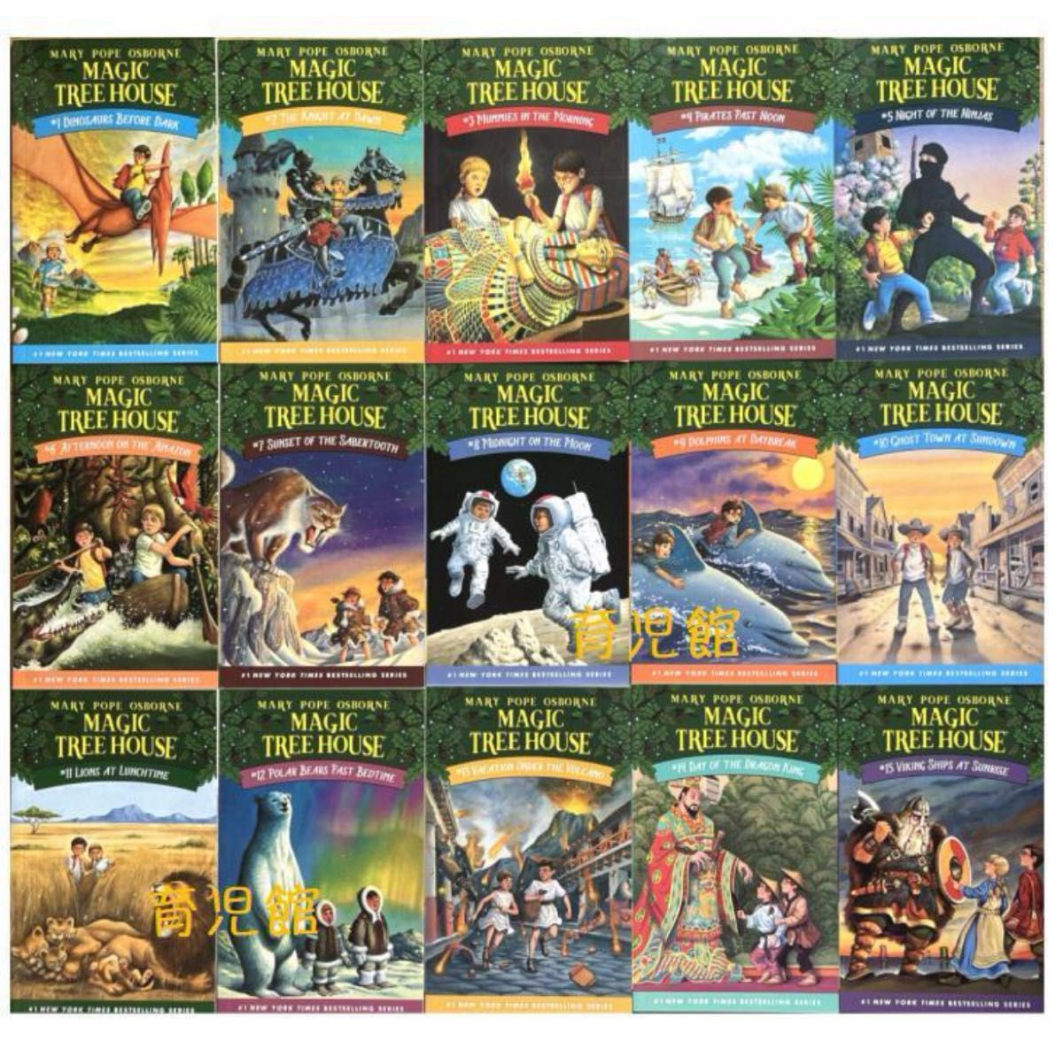 Magic Tree Houseシリーズ1 絵本39冊 マジックツリーハウス｜Yahoo