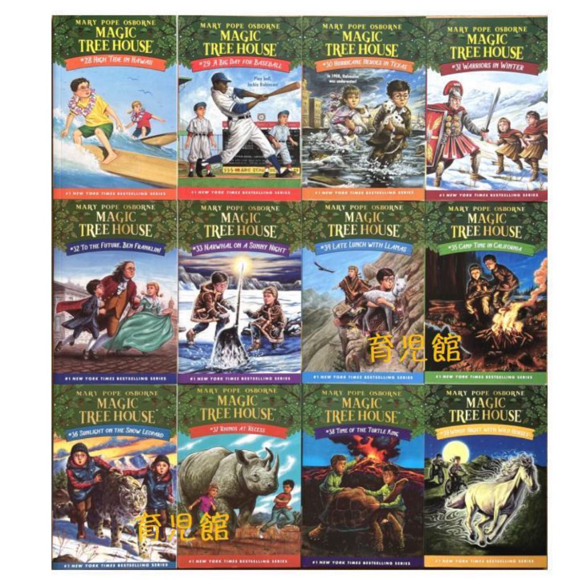 Magic Tree Houseシリーズ1 絵本39冊 マジックツリーハウス｜Yahoo