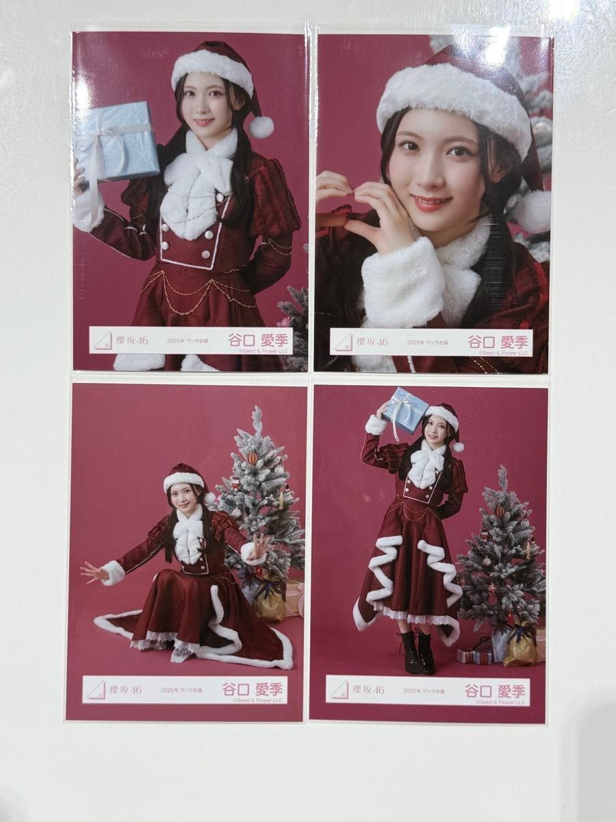 櫻坂46 2025年 サンタ 生写真 4種コンプ 谷口愛季｜Yahoo!フリマ（旧