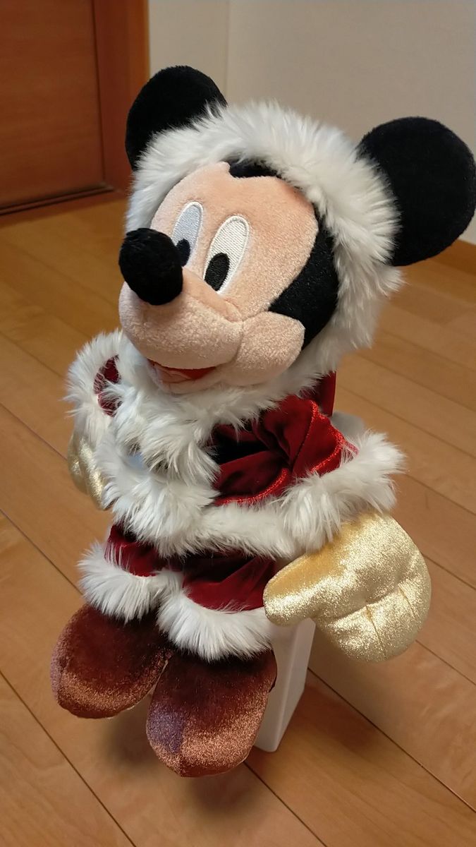 超レア】サンタミッキー 15周年 しっぽ有 ディズニー ミッキー