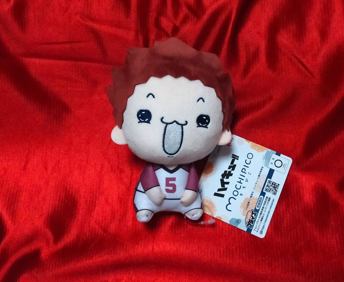 ハイキュー もちぴこぬいぐるみ 天童 覚｜Yahoo!フリマ（旧PayPayフリマ）