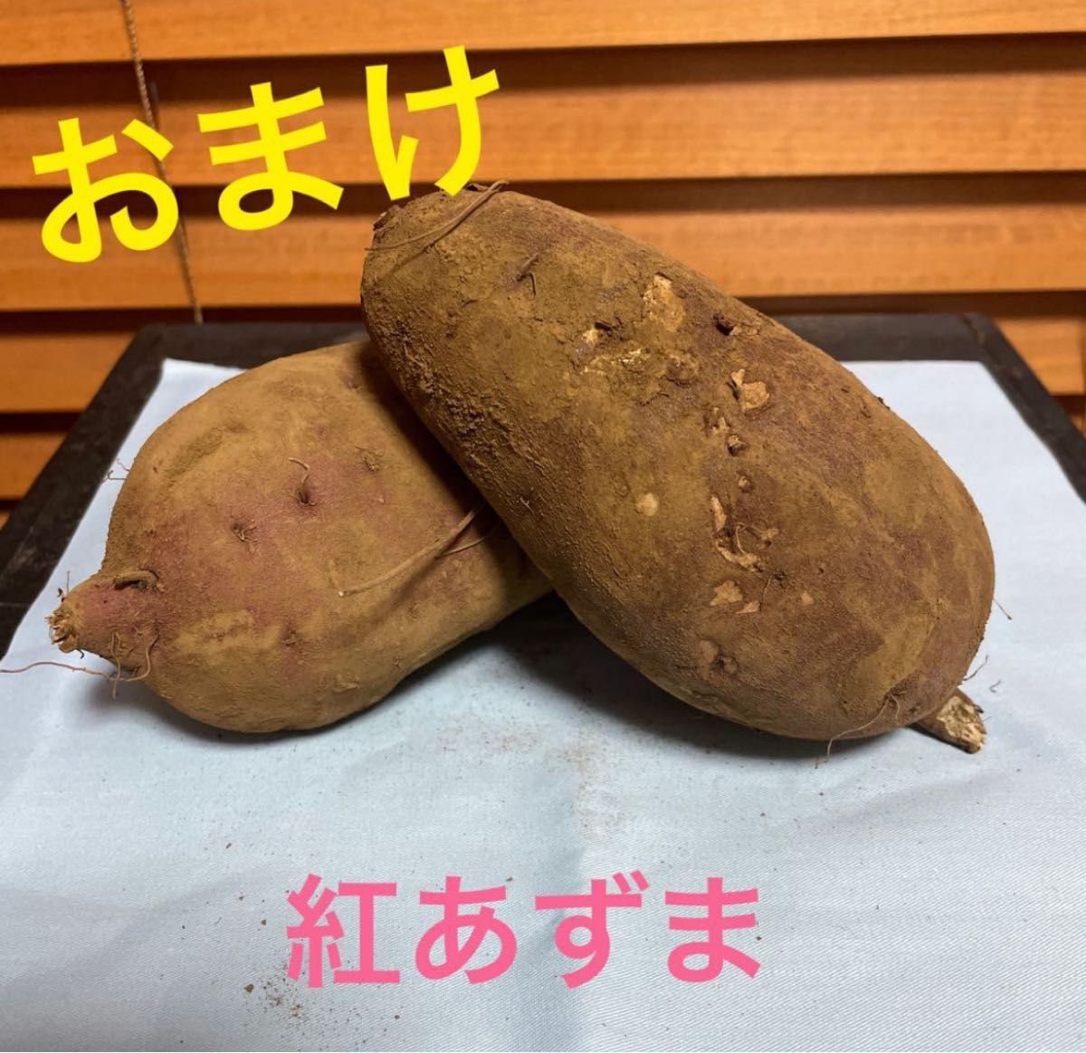 古代ソマチッド[ソマチプラス15ml+石タイプ100g+粉タイプ100g]+おまけ