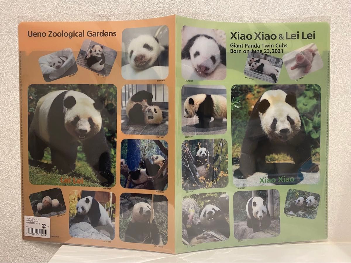 上野動物園 ジャイアントパンダ シャオシャオ レイレイ クリアファイル