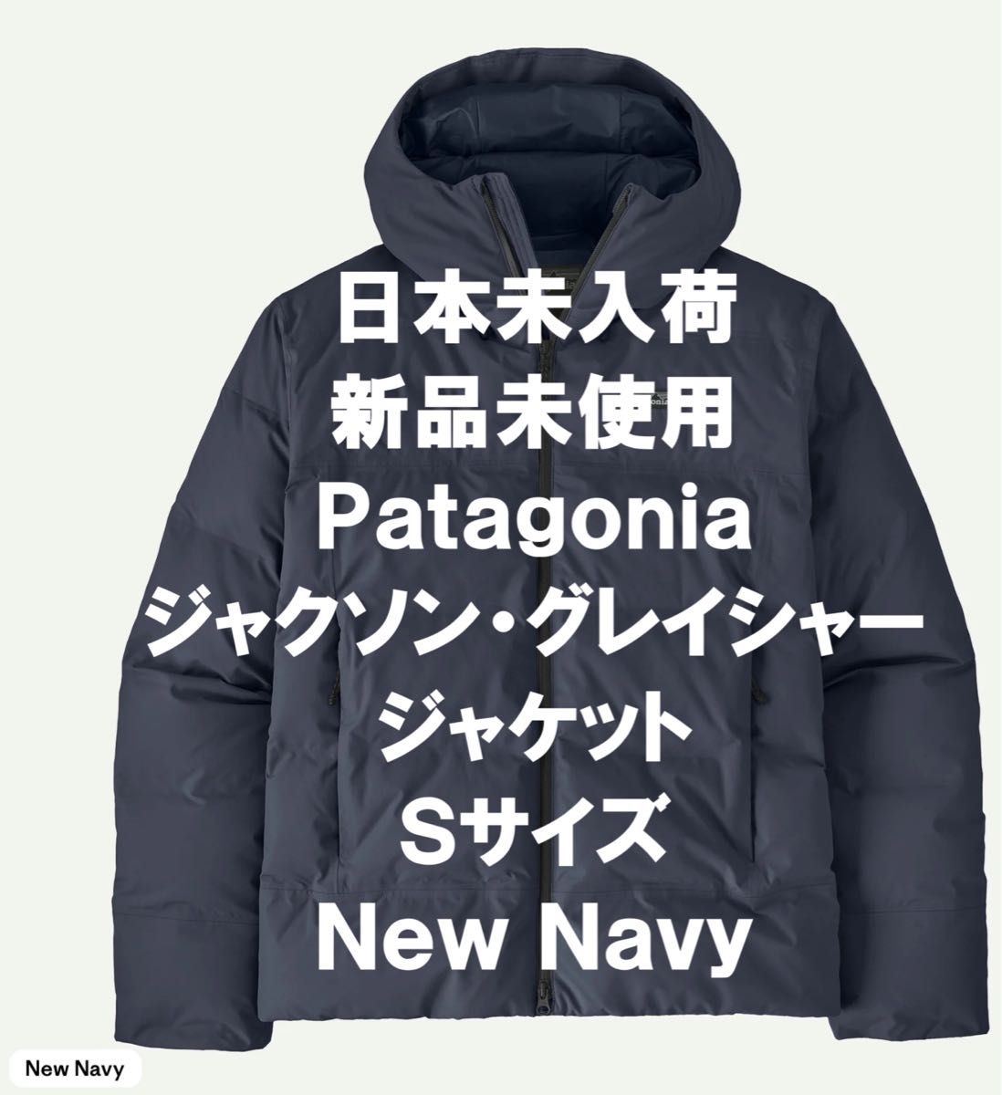 日本未入荷】【新品】Patagonia パタゴニア ジャクソン・グレイシャー