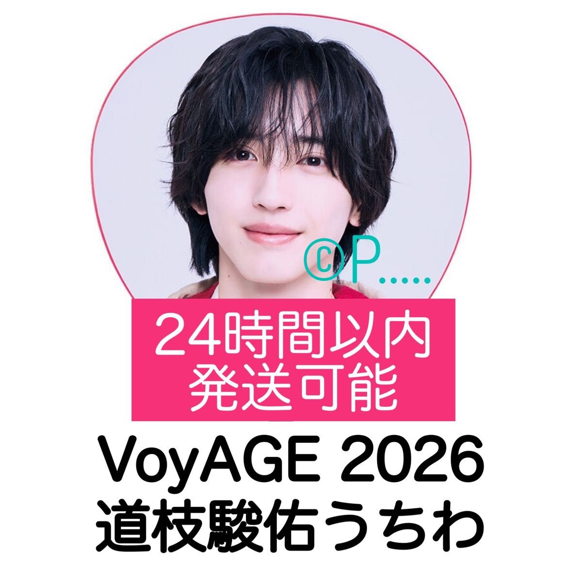 なにわ男子 1st ドーム VoyAGE うちわ 2026 道枝駿佑 ペンライト