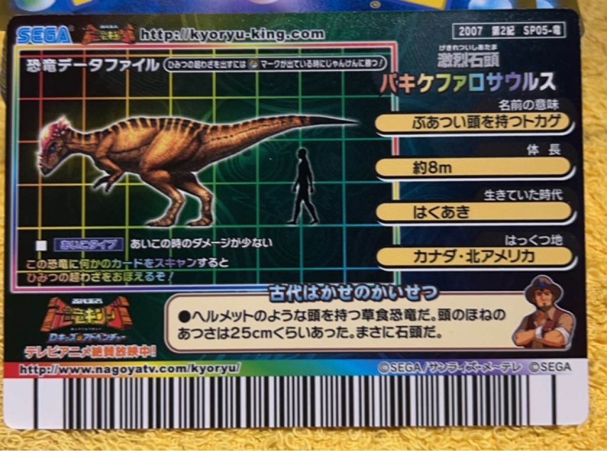 恐竜キング パキケファロサウルス 2007 第2紀 シークレット 恐竜カード