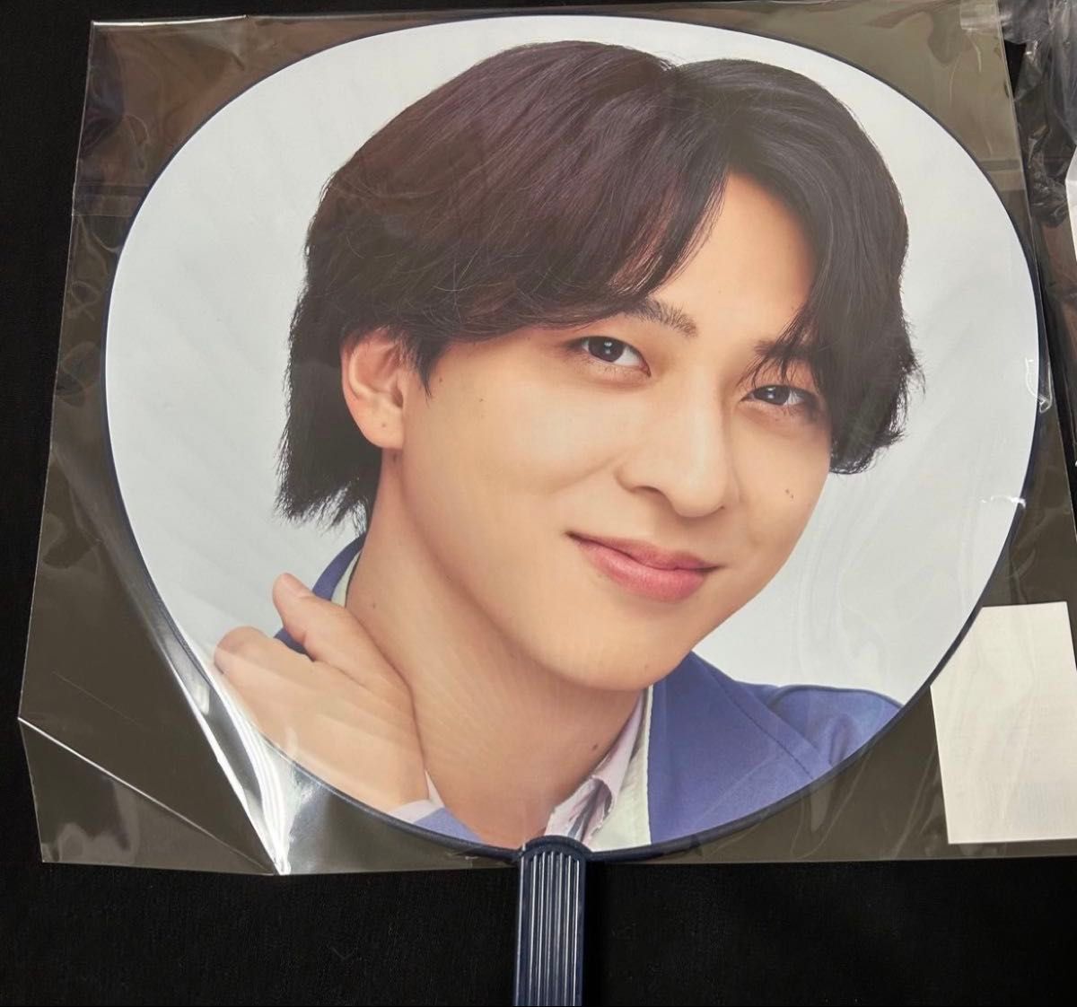 み様ご専用 timelesz FAM DOME グッズ 寺西拓人 うちわ ぬいペンライト