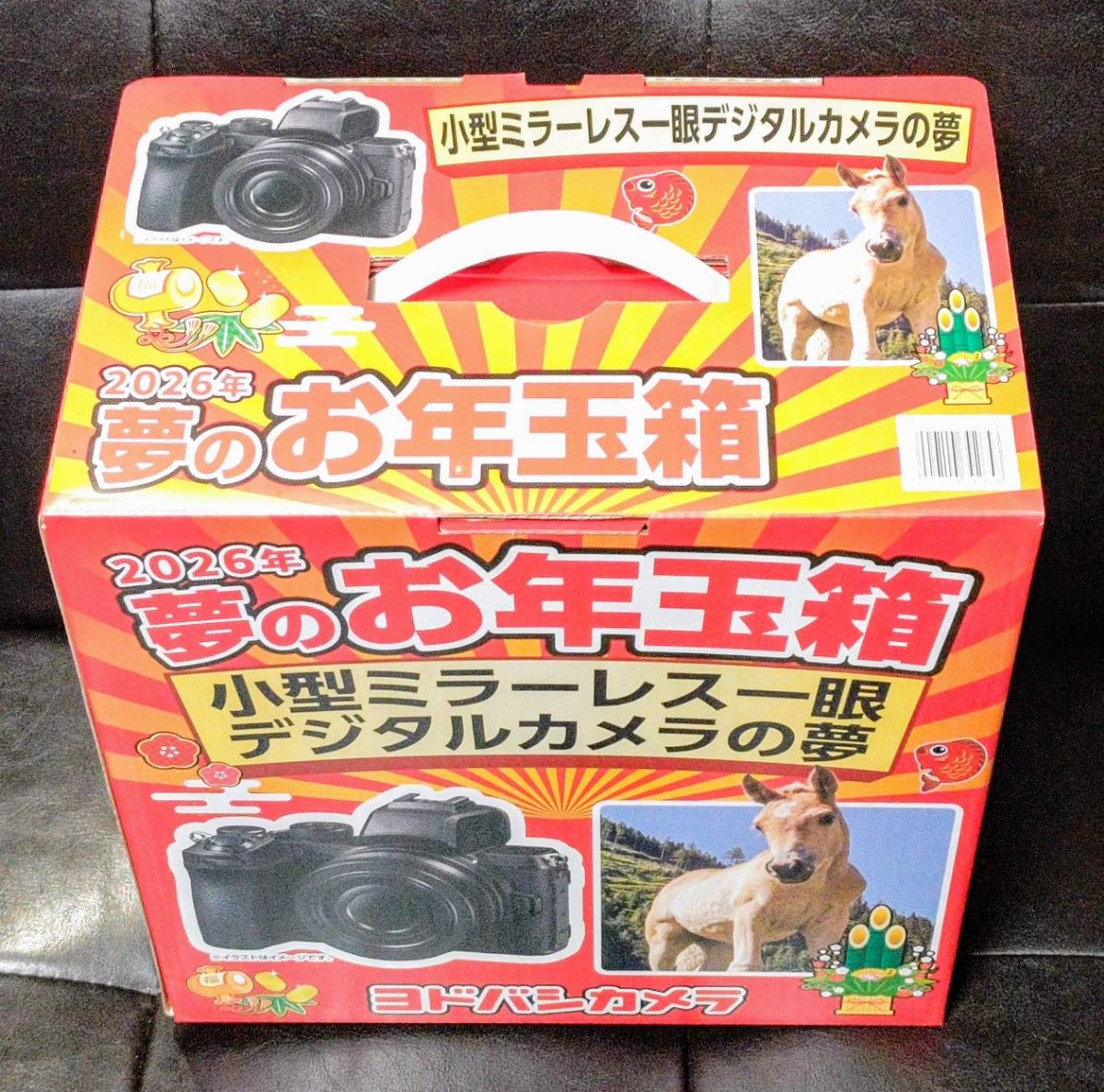 ヨドバシカメラ 夢のお年玉箱 2026 小型ミラーレス一眼デジタルカメラ