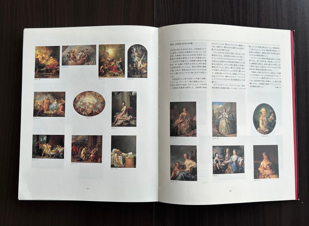 セール ルーヴル美術館展 18世紀フランス絵画のきらめき 図録 ロココ