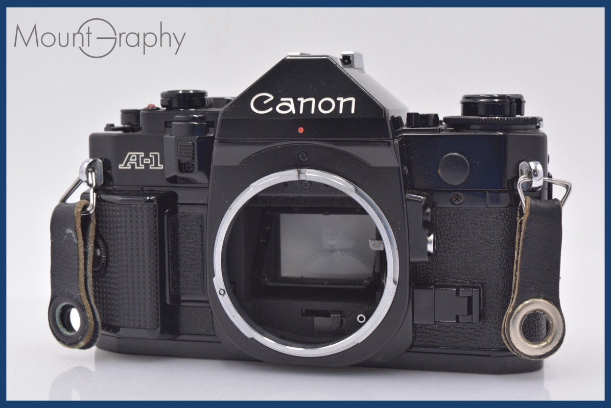 イタリア ミッドセンチュリー 50s-60s スクラッフィート プレート