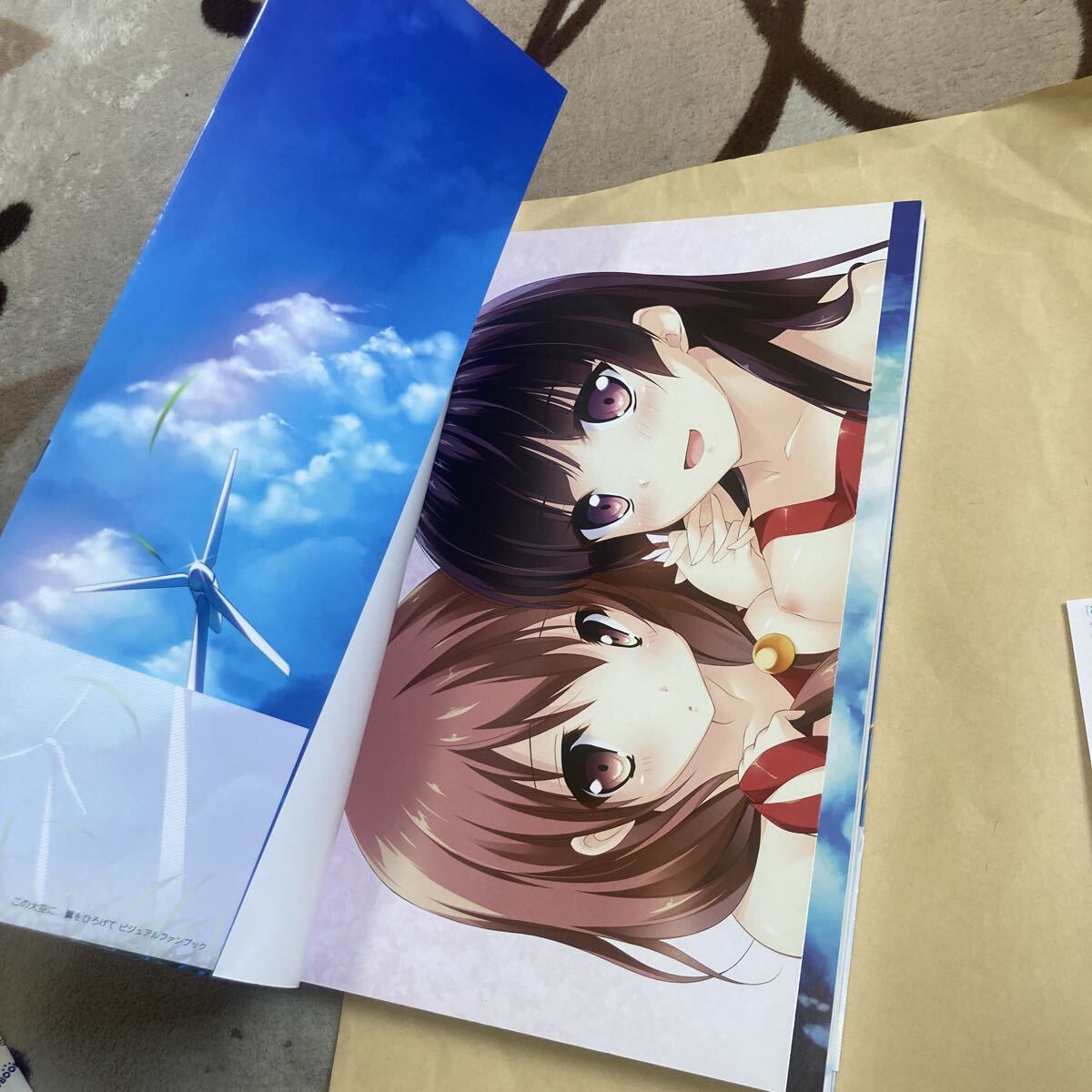 送料無料 この大空に 翼をひろげて ビジュアルファンブック 初版 帯