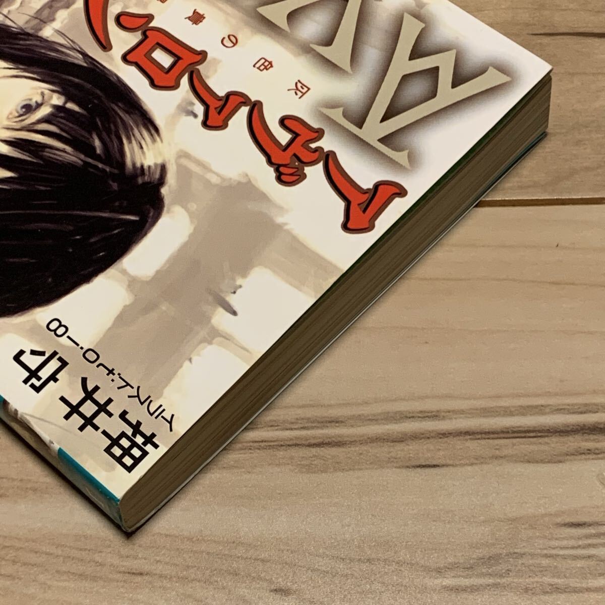 初版 押井守 アヴァロン Avalon 灰色の貴婦人 mamoru oshii SF GHOST