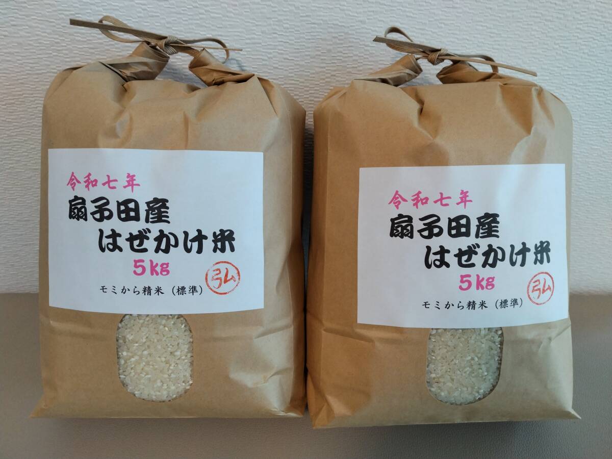 セルディア スープ シェイク 15袋 匿名配送 お買い得品 セルディア