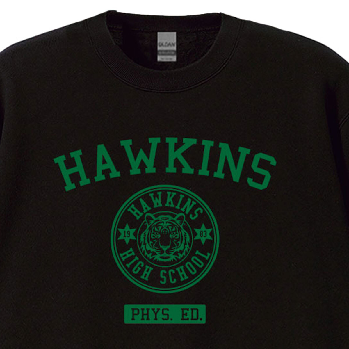 ストレンジャーシングス Stranger Things ホーキンス高校 HAWKINS