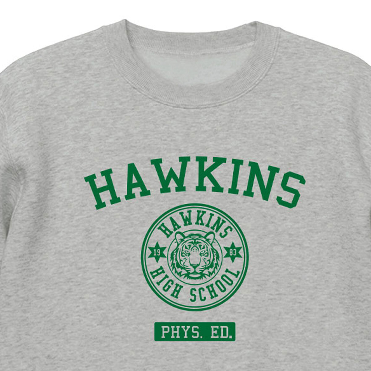 ストレンジャーシングス Stranger Things ホーキンス高校 HAWKINS